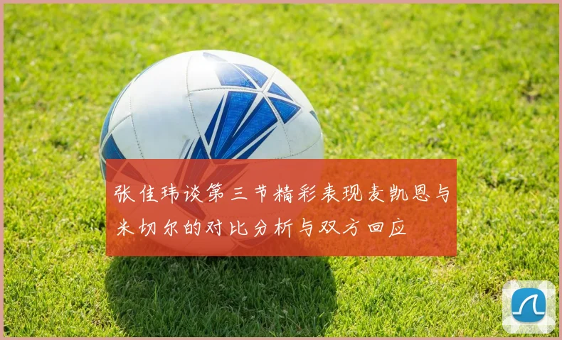 张佳玮谈第三节精彩表现麦凯恩与米切尔的对比分析与双方回应